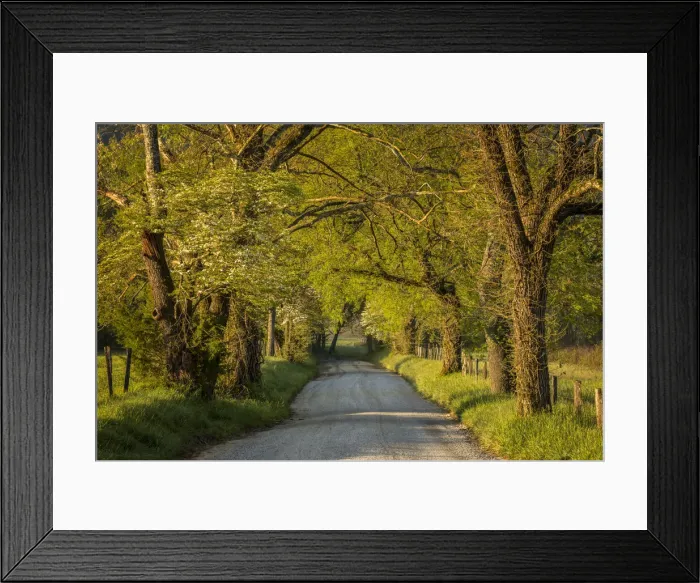 Framed Print : Sparks Lane at sunrise, Cades Cove, Cades Cove, Smoky Mountains National Park, Tennessee