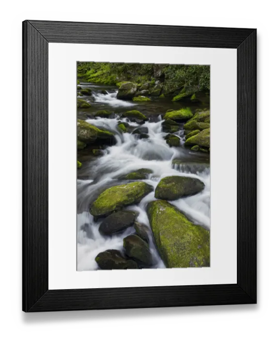 Framed Print : Moss covered boulders and flowing stream, Little Pigeon River, Great Smoky Mountains Framed Print : Moss covered boulders and flowing stream, Little Pigeon River, Great Smoky Mountains