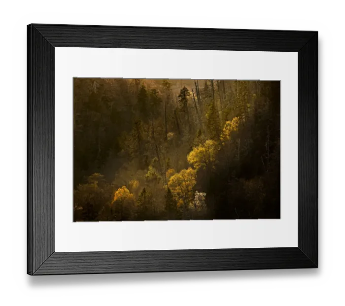 Framed Print : Spring sunset from Morton Overlook, Great Smoky Mountains, National Park, Tennessee Framed Print : Spring sunset from Morton Overlook, Great Smoky Mountains, National Park, Tennessee