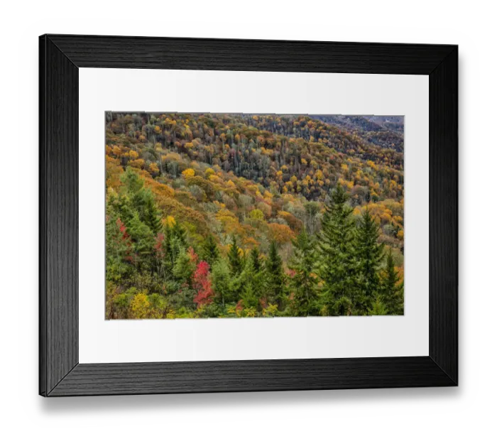 Framed Print : Great Smokey Mountains, Tennessee