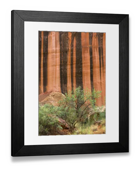 Framed Print : USA, Utah, Capitol Reef National Park, Mineral-stained walls of Wingate Sandstone form Framed Print : USA, Utah, Capitol Reef National Park, Mineral-stained walls of Wingate Sandstone form