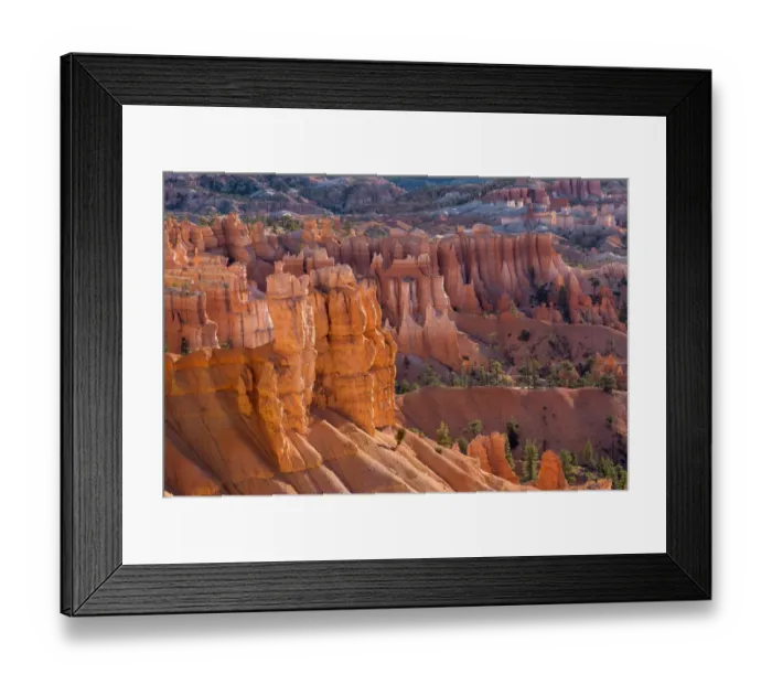 Framed Print : USA, Utah, Bryce Canyon National Park, Hoodoos rise above colorful ridges and valleys