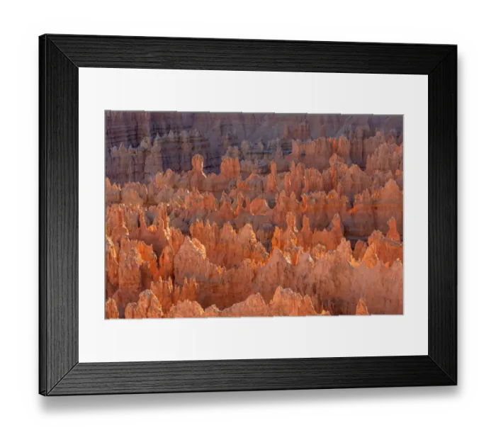 Framed Print : USA, Utah, Bryce Canyon National Park, Evening light brightens hoodoos in the Silent City Framed Print : USA, Utah, Bryce Canyon National Park, Evening light brightens hoodoos in the Silent City