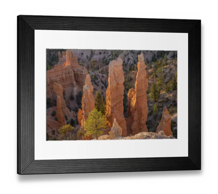 Framed Print : USA, Utah, Bryce Canyon National Park, Colorful eroded hoodoos below Fairyland Point in Framed Print : USA, Utah, Bryce Canyon National Park, Colorful eroded hoodoos below Fairyland Point in