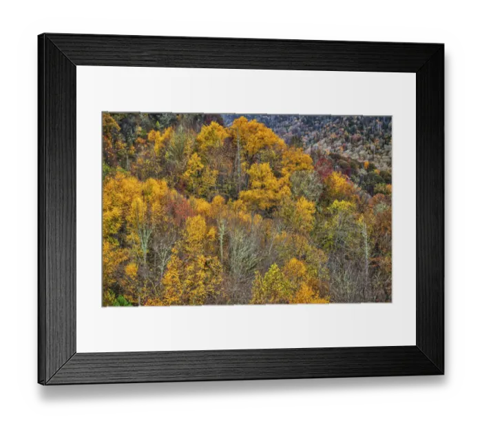 Framed Print : Great Smokey Mountains, Tennessee Framed Print : Great Smokey Mountains, Tennessee