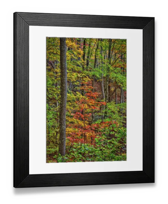 Framed Print : Great Smokey Mountains, Tennessee