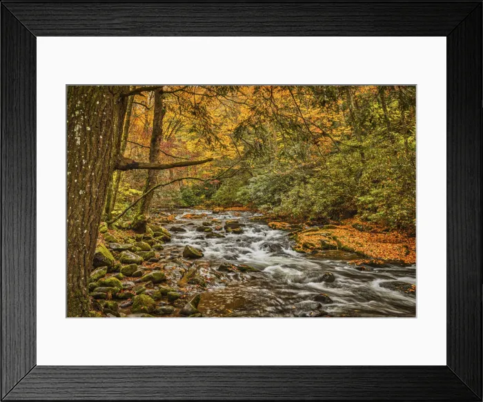 Framed Print : Great Smokey Mountains, Tennessee