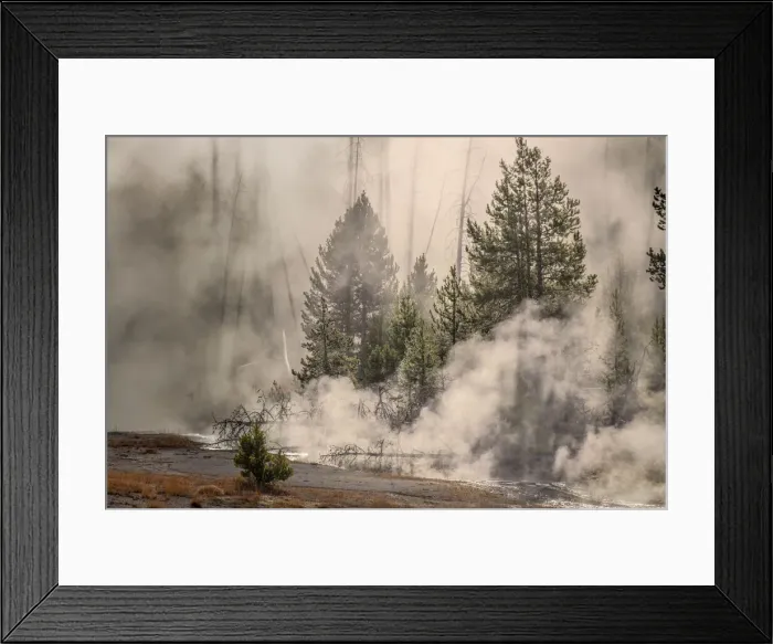 Framed Print : Mist in trees at sunrise along the Firehole River, Upper Geyser Basin Framed Print : Mist in trees at sunrise along the Firehole River, Upper Geyser Basin