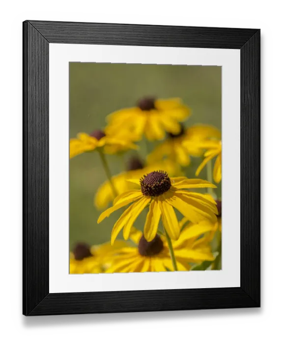 Framed Print : Diamond Grove Prairie Conservation Area, Diamond, Missouri