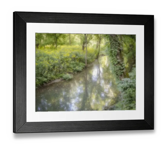 Framed Print : Big Sugar Creek area, Pineville, Missouri, flowers are Jerusalem artichoke Framed Print : Big Sugar Creek area, Pineville, Missouri, flowers are Jerusalem artichoke