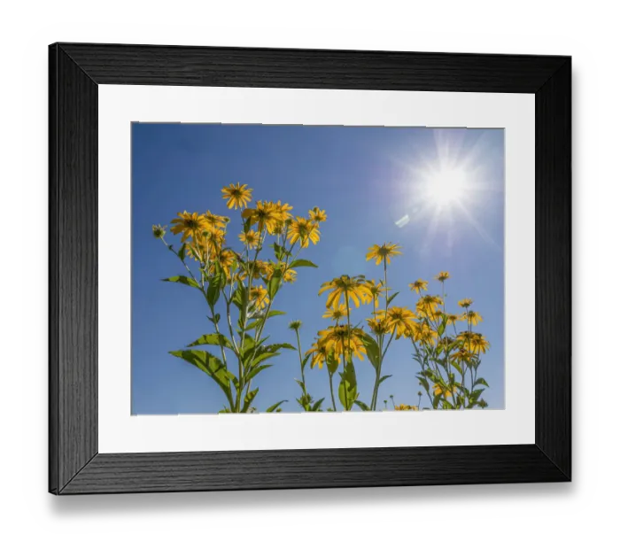 Framed Print : Diamond Grove Prairie Conservation Area, Diamond, Missouri Framed Print : Diamond Grove Prairie Conservation Area, Diamond, Missouri