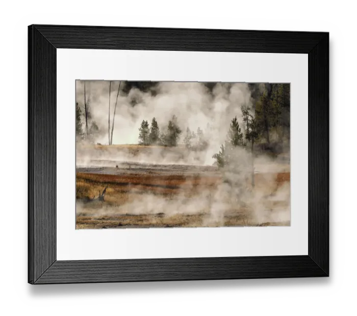 Framed Print : Trees in morning mist, Firehole Lake Drive, Yellowstone National Park, Montana Framed Print : Trees in morning mist, Firehole Lake Drive, Yellowstone National Park, Montana