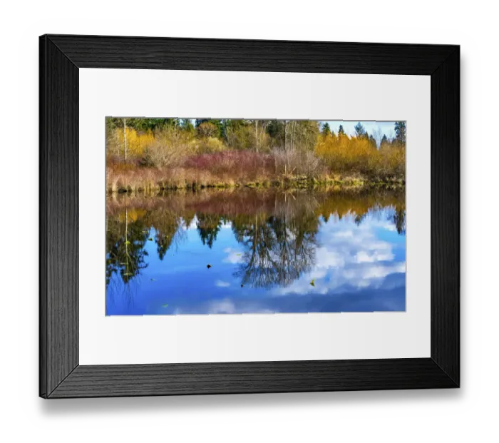 Framed Print : Larsen Lake reflection, Bellevue, Washington State. Originally Established 1940