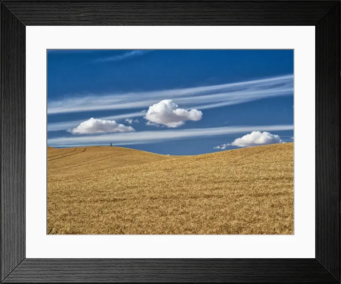 Framed Print : USA, Washington State, Palouse. Large clouds over fields of wheat at harvest Framed Print : USA, Washington State, Palouse. Large clouds over fields of wheat at harvest