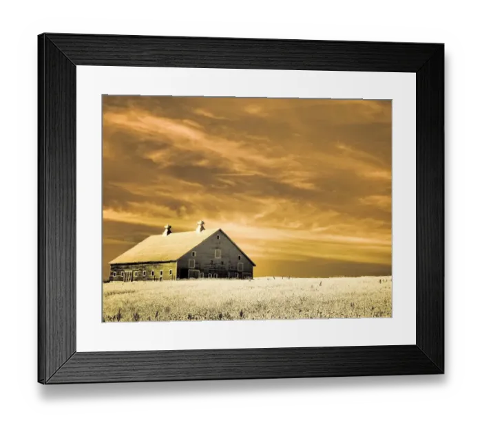 Framed Print : USA, Washington State, Palouse. Old barn in the middle of harvest wheat field