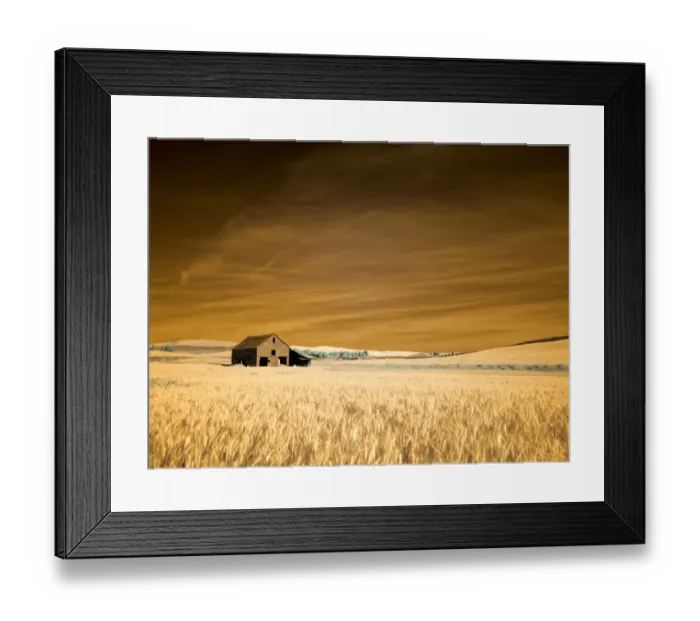 Framed Print : USA, Washington State, Palouse. Old barn in the middle of harvest wheat field