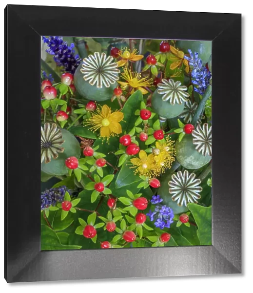 USA, Washington State, Seabeck. Colorful flower arrangement