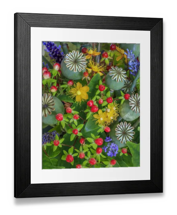 Framed Print : USA, Washington State, Seabeck. Colorful flower arrangement Framed Print : USA, Washington State, Seabeck. Colorful flower arrangement
