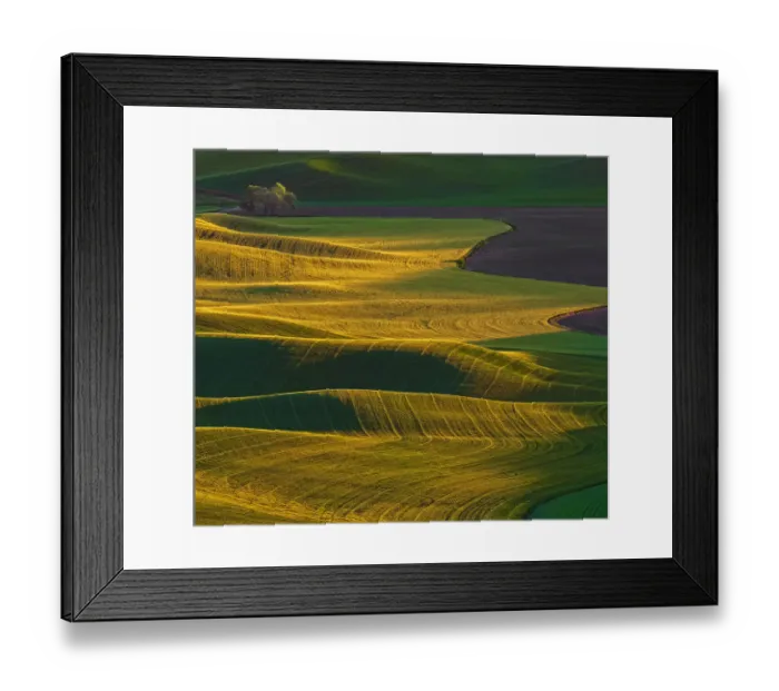 Framed Print : Washington State, Palouse, sunrise Framed Print : Washington State, Palouse, sunrise