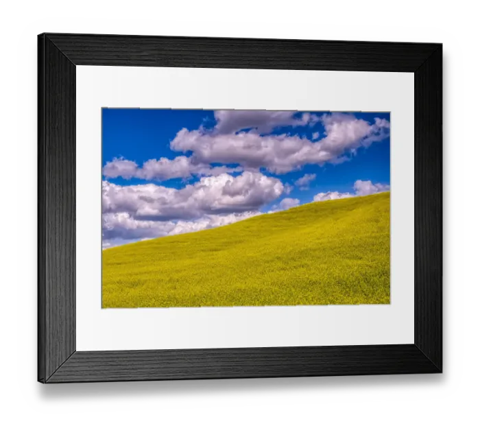Framed Print : USA, Washington State, Palouse, canola hillside
