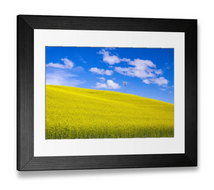 Framed Print : USA, Washington State, Palouse, canola hillside Framed Print : USA, Washington State, Palouse, canola hillside