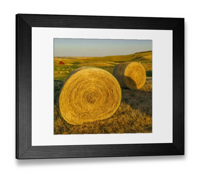 Framed Print : USA, Washington State, harvest, bales of hay