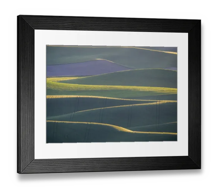 Framed Print : Layers of backlight hills of wheat