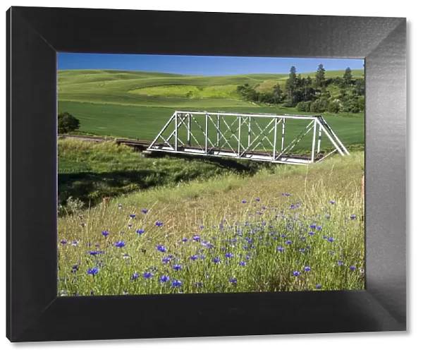 Truss bridge over the south fork of the Palouse River with wildflowers in the foreground
