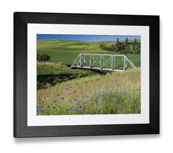 Framed Print : Truss bridge over the south fork of the Palouse River with wildflowers in the foreground