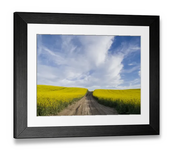 Framed Print : Rural dirt road with blooming canola fields on both sides