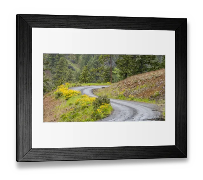 Framed Print : Forest road lined with wildflowers Framed Print : Forest road lined with wildflowers