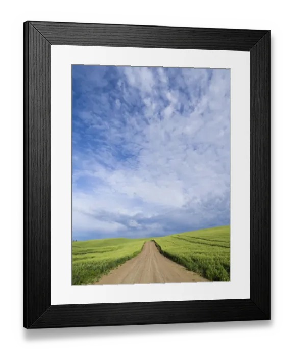 Framed Print : Rural road winding through wheatfields Framed Print : Rural road winding through wheatfields