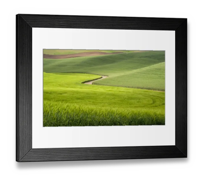 Framed Print : Rural dirt road winding through wheatfields