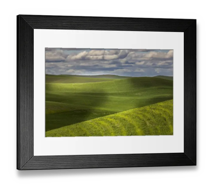 Framed Print : Rolling fields of wheat, Palouse region of eastern Washington Framed Print : Rolling fields of wheat, Palouse region of eastern Washington