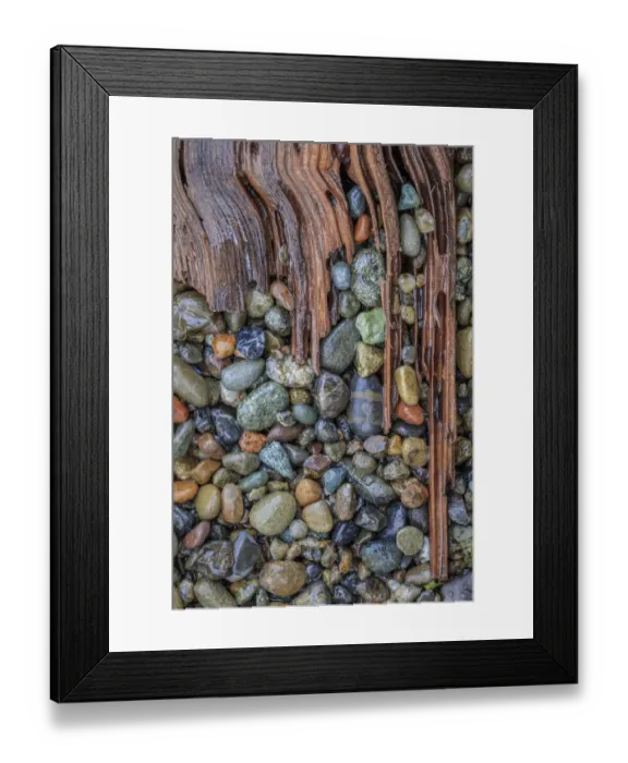 Framed Print : USA, Washington State, Seabeck. Panoramic of driftwood and beach rocks Framed Print : USA, Washington State, Seabeck. Panoramic of driftwood and beach rocks