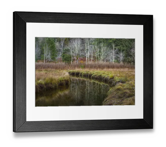 Framed Print : USA, Washington State, Seabeck, Guillemot Cove Nature Reserve. Reflections in Boyce Creek Framed Print : USA, Washington State, Seabeck, Guillemot Cove Nature Reserve. Reflections in Boyce Creek