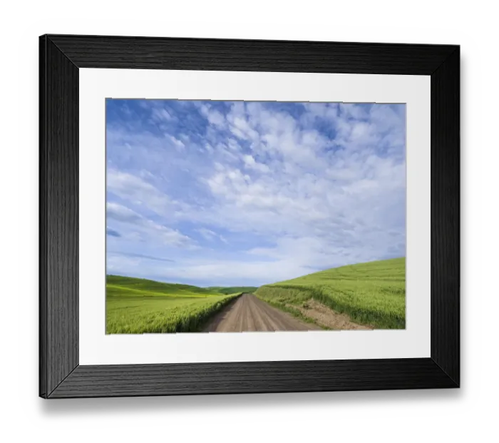 Framed Print : Rural road winding through wheatfields Framed Print : Rural road winding through wheatfields
