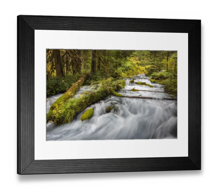 Framed Print : Water cascades over lush mossy logs in Olallie Creek near McKenzie River