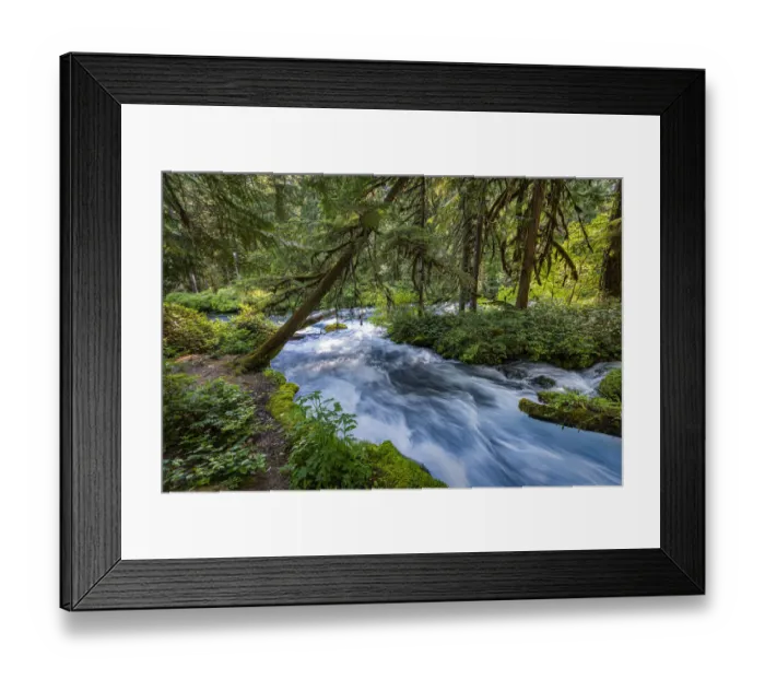 Framed Print : Rushing water in pristine Olallie Creek near McKenzie River, Willamette National Forest Framed Print : Rushing water in pristine Olallie Creek near McKenzie River, Willamette National Forest