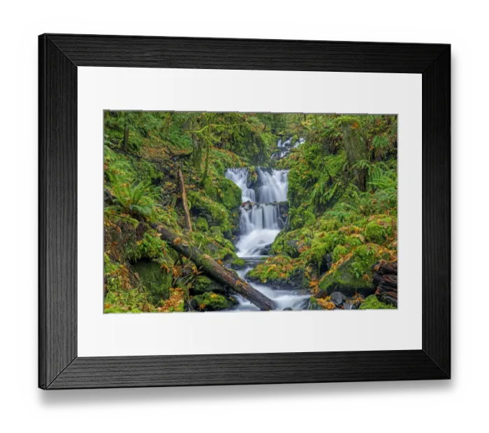 Framed Print : USA, Oregon. Columbia River Gorge National Scenic Area, Emerald Falls on Gorton Creek in Framed Print : USA, Oregon. Columbia River Gorge National Scenic Area, Emerald Falls on Gorton Creek in