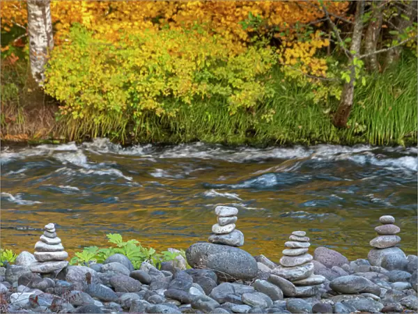 Stacked stones on Fall-colored vine maple band of the McKenzie National Wild