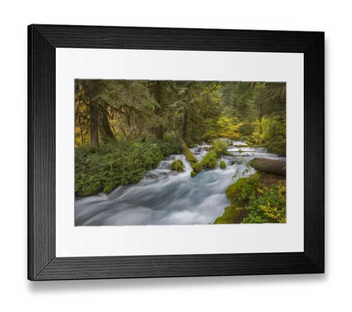 Framed Print : Rushing water in pristine Olallie Creek near McKenzie River, Willamette National Forest