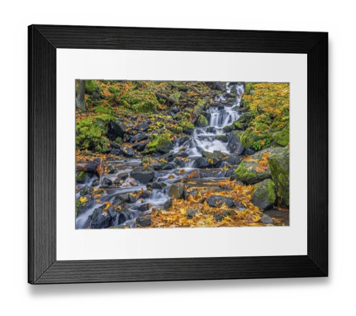 Framed Print : USA, Oregon. Columbia River Gorge National Scenic Area, Starvation Creek State Park Framed Print : USA, Oregon. Columbia River Gorge National Scenic Area, Starvation Creek State Park