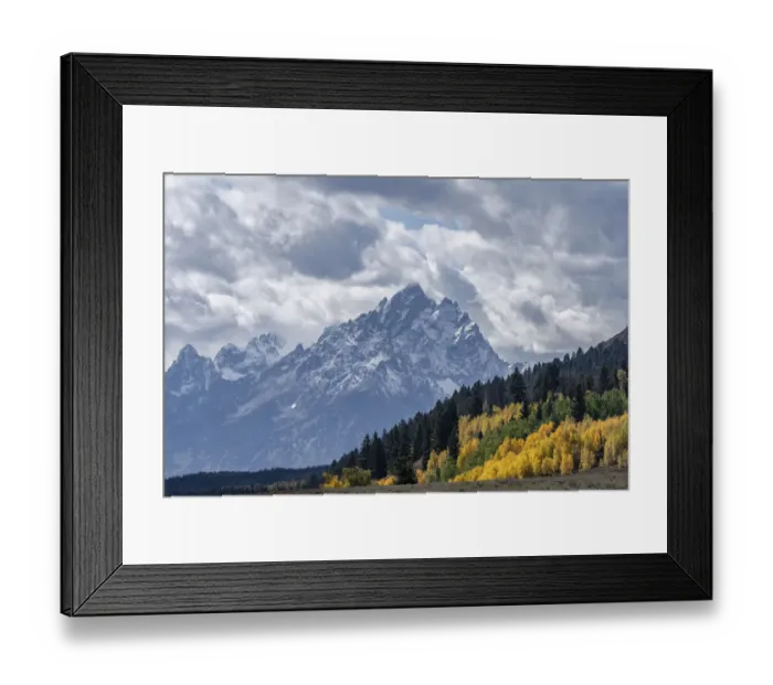 Framed Print : USA, Wyoming. Grand Teton with colorful autumn foliage, Grand Teton National Park