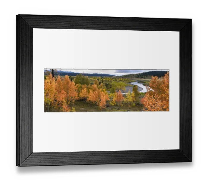 Framed Print : USA, Wyoming. Panoramic. Colorful autumn foliage with river, clouds, and mountains Framed Print : USA, Wyoming. Panoramic. Colorful autumn foliage with river, clouds, and mountains