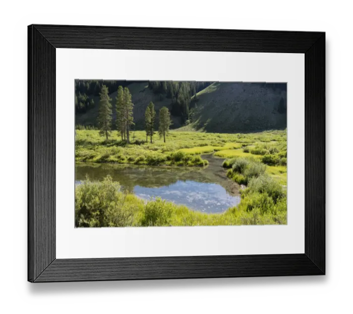 Framed Print : USA, Wyoming. Meandering stream and lush vegetation, Bridger Teton National Forest Framed Print : USA, Wyoming. Meandering stream and lush vegetation, Bridger Teton National Forest