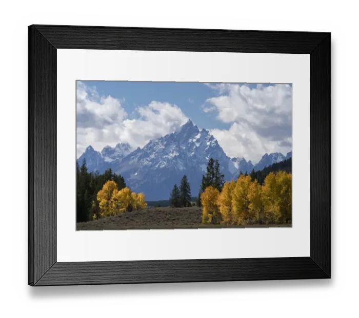 Framed Print : USA, Wyoming. Grand Teton with colorful autumn foliage, Grand Teton National Park Framed Print : USA, Wyoming. Grand Teton with colorful autumn foliage, Grand Teton National Park