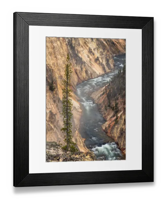 Framed Print : Yellowstone River, Grand Canyon of the Yellowstone, Yellowstone National Park, Wyoming