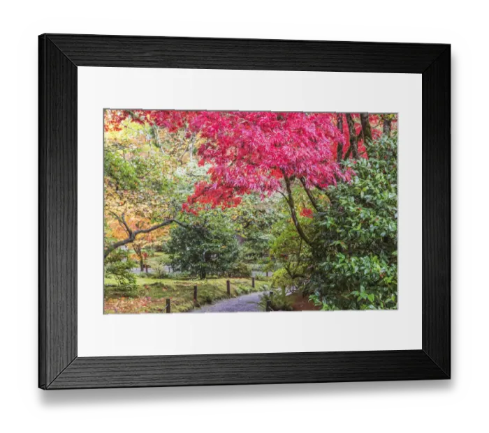 Framed Print : Washington State, Seattle. Autumn color, Japanese Garden Framed Print : Washington State, Seattle. Autumn color, Japanese Garden