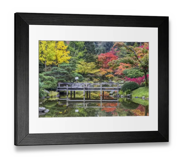 Framed Print : Washington State, Seattle. Autumn color, Japanese Garden Framed Print : Washington State, Seattle. Autumn color, Japanese Garden